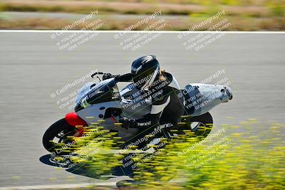 media/May-10-2024-2WTD (Fri) [[c88d7990af]]/Group B/Session 2-The Bowl/